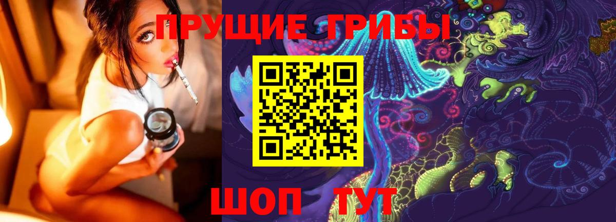 Галлюциногенные грибы Psilocybe  Вход с VPN  Артём 